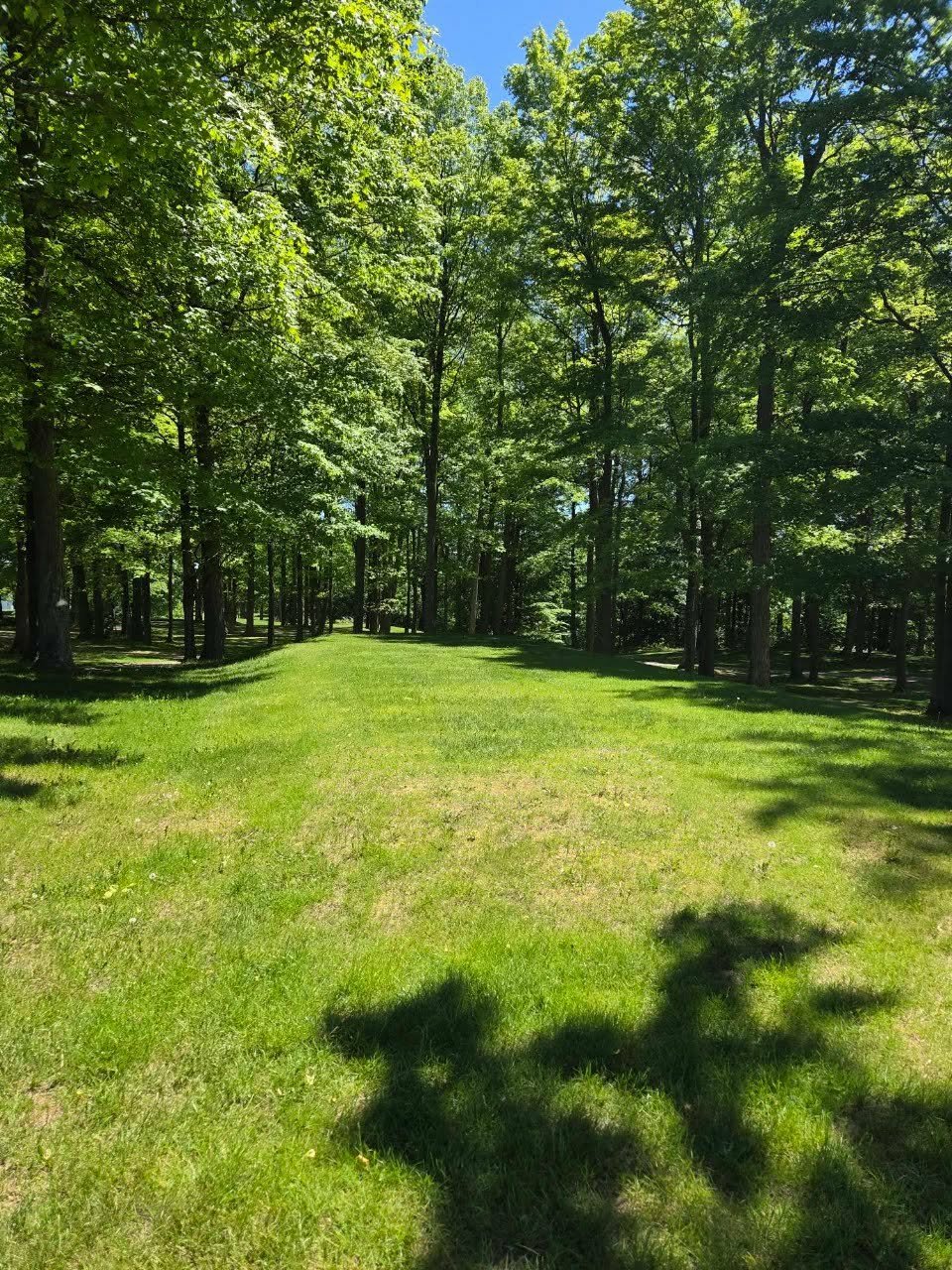 emtpy ceremony site