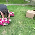 set up arch ceremony site
